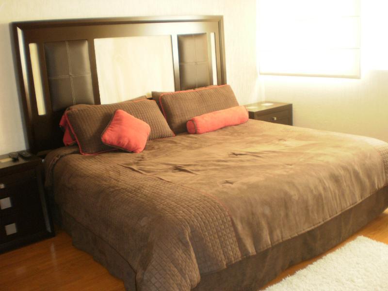 Steinhaus Suites Hamburgo Mexikóváros Kültér fotó